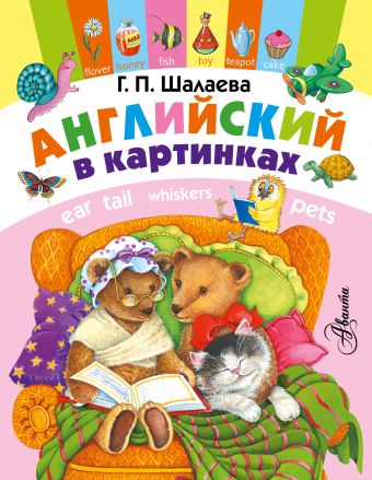 Английский в картинках Английский в картинках Шалаева Г.П.