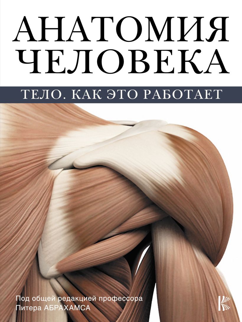 Анатомия человека читать онлайн бесплатно с картинками