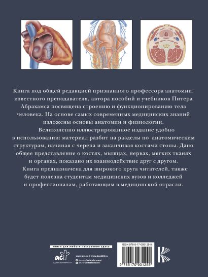 Анатомия человека читать онлайн бесплатно с картинками