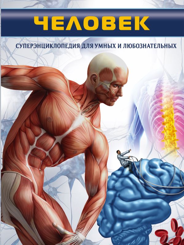Человек Человек ООО "ХАРВЕСТ"