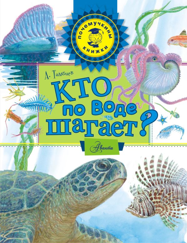 Кто по воде шагает? Кто по воде шагает? Тамбиев А.Х.