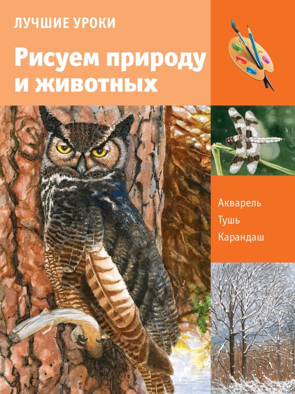Учимся рисовать природу и животных Учимся рисовать природу и животных .
