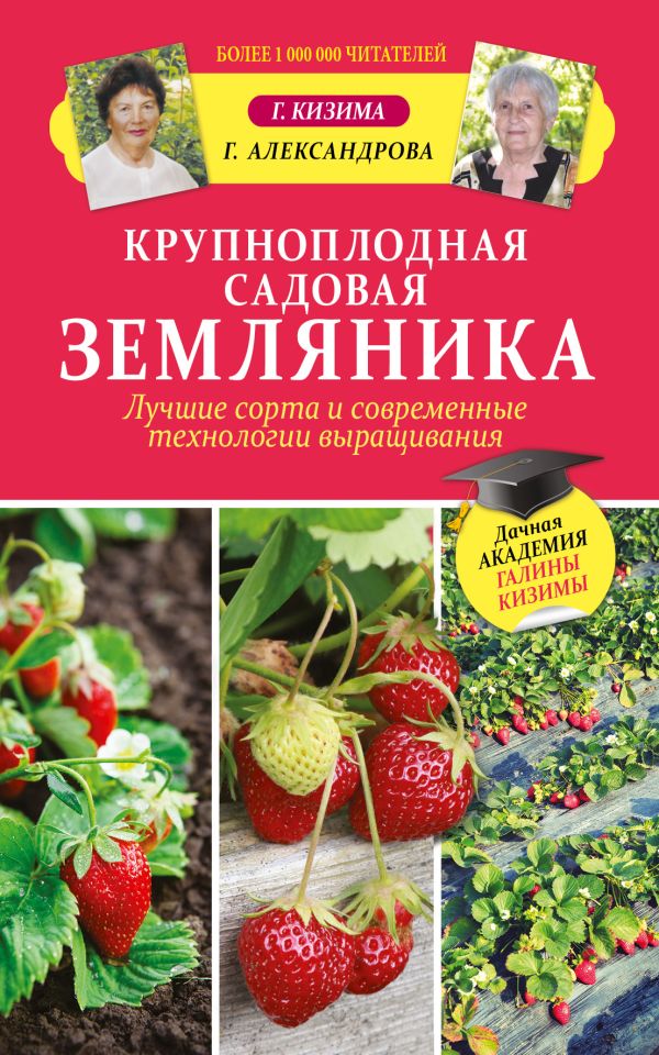 Крупноплодная садовая земляника. Лучшие сорта и современные технологии выращивания Крупноплодная садовая земляника. Лучшие сорта и современные технологии выращивания Кизима Г.А.