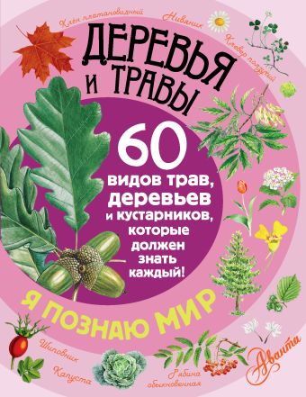 Деревья и травы Деревья и травы .