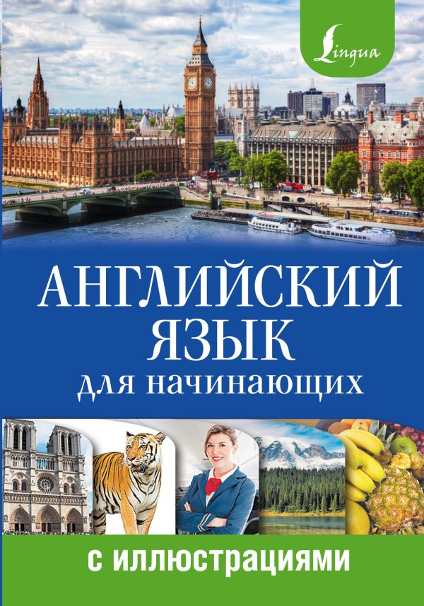 Английский язык для начинающих с иллюстрациями Английский язык для начинающих с иллюстрациями Комнина А.А.