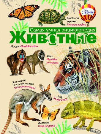 

Животные