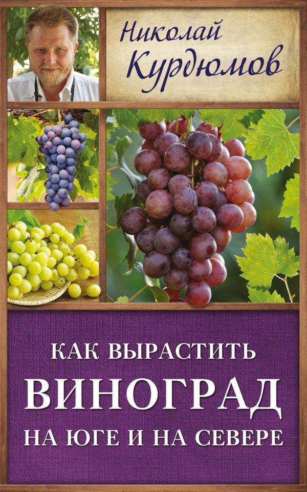 Как вырастить виноград на Юге и на Севере Как вырастить виноград на Юге и на Севере Курдюмов Н.И.