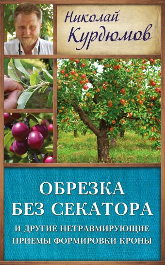

Обрезка без секатора и другие нетравмирующие приемы формировки кроны
