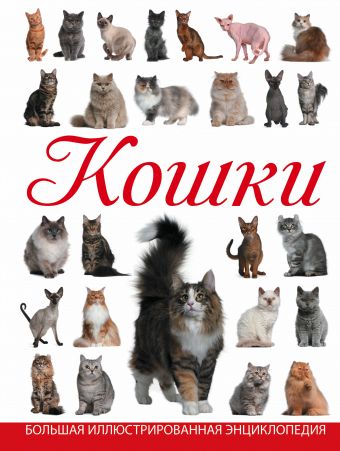 Кошки Кошки Смирнов Д.С.