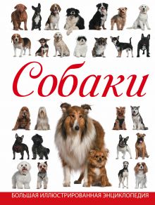 Собаки