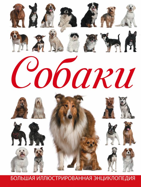 Собаки Собаки Барановская И.Г., Вайткене Л.Д.