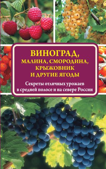 Виноград, малина, смородина, крыжовник и другие ягоды Виноград, малина, смородина, крыжовник и другие ягоды Жвакин В.В.