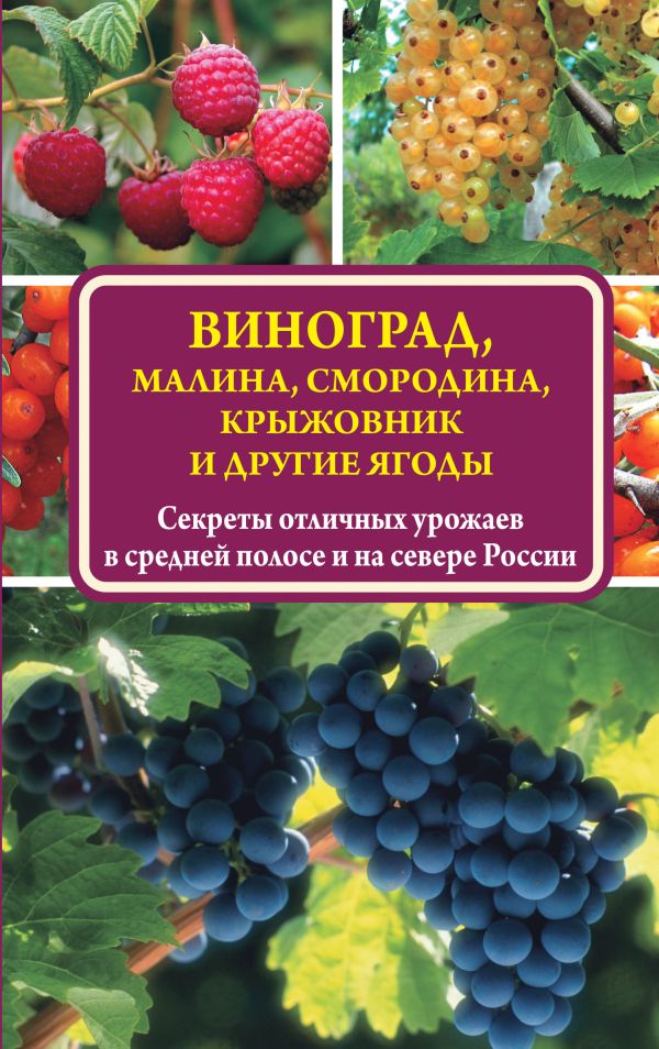Виноград, малина, смородина, крыжовник и другие ягоды Виноград, малина, смородина, крыжовник и другие ягоды Жвакин В.В.