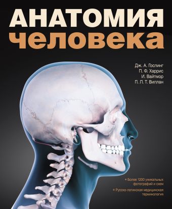 Анатомия человека анатомия человека абрахамс п