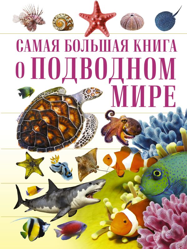 О подводном мире О подводном мире .