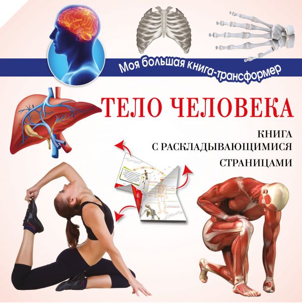 Zakazat.ru: Тело человека. .