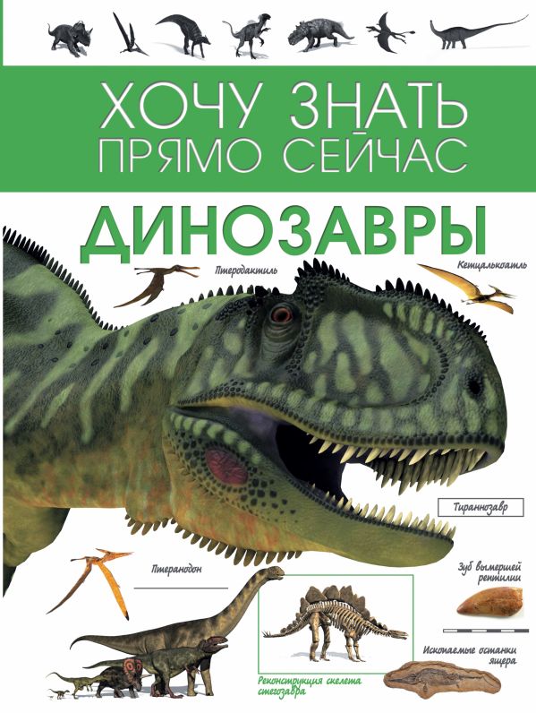 Динозавры Динозавры .