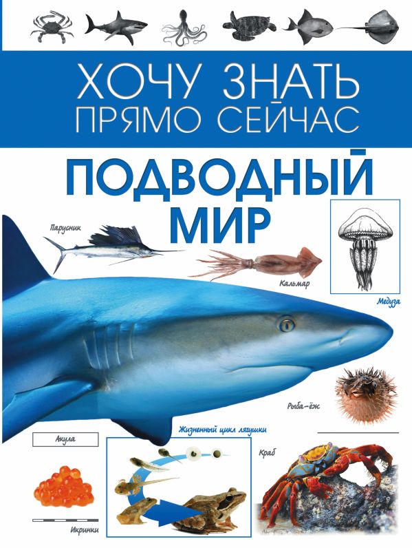 Подводный мир Подводный мир .