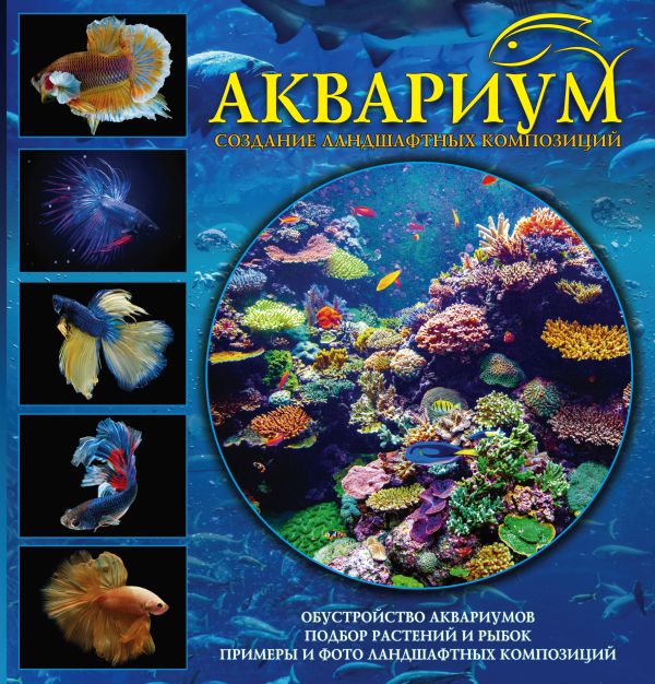 Аквариум. Создание ландшафтных композиций. Примеры и рекомендации Аквариум. Создание ландшафтных композиций. Примеры и рекомендации