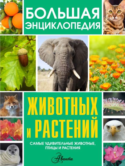 Большая энциклопедия животных и растений - фото 1