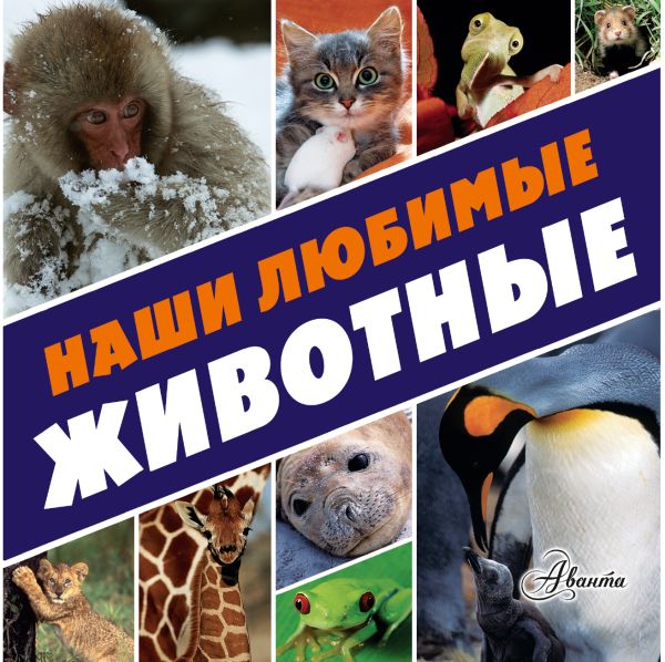 Наши любимые животные Наши любимые животные