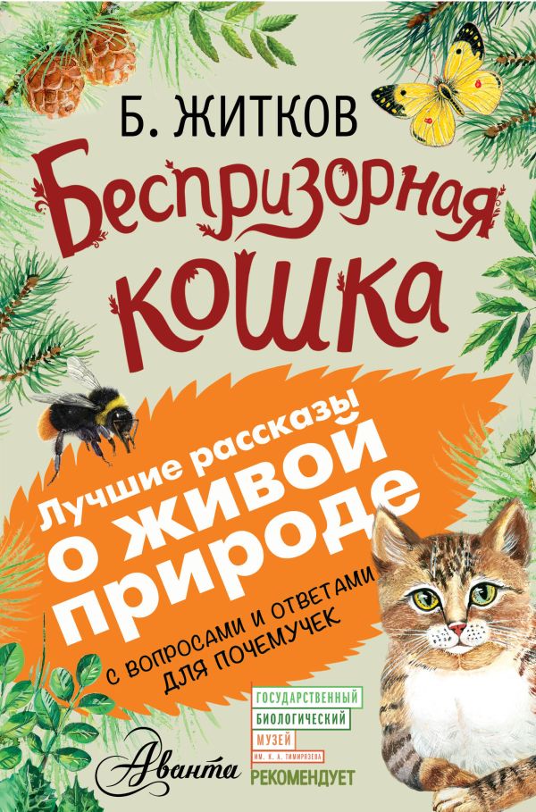 

Беспризорная кошка