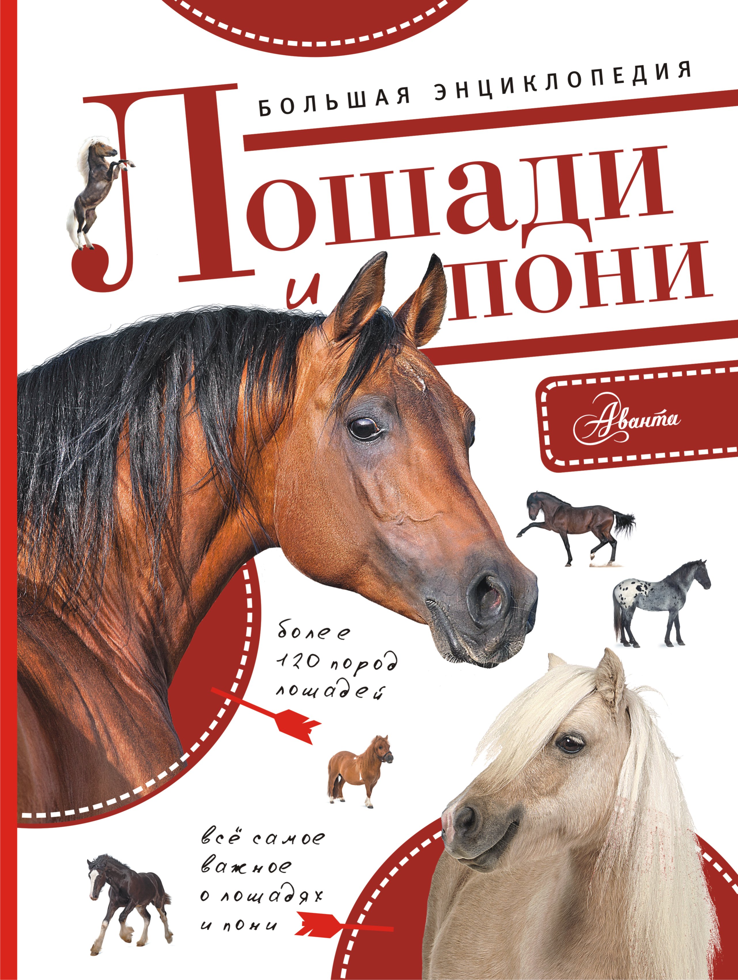 Волков А.В. Большая энциклопедия. Лошади и пони