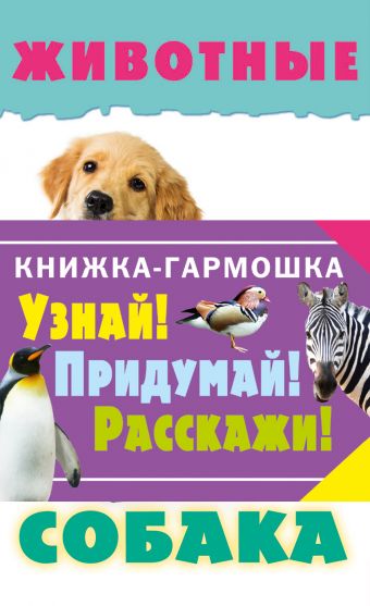 Животные Животные .