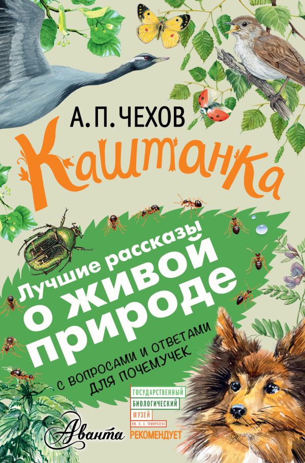 Каштанка Каштанка Чехов А.П.