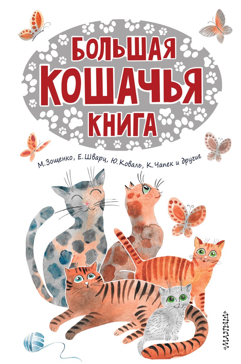 Купить Большого Кота Живого
