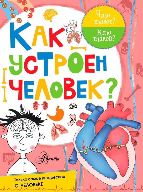 Как устроен человек? Как устроен человек? Иванова В.В., Авакян Э.В.