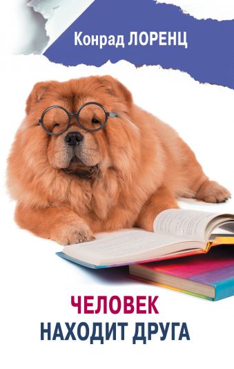 

Человек находит друга