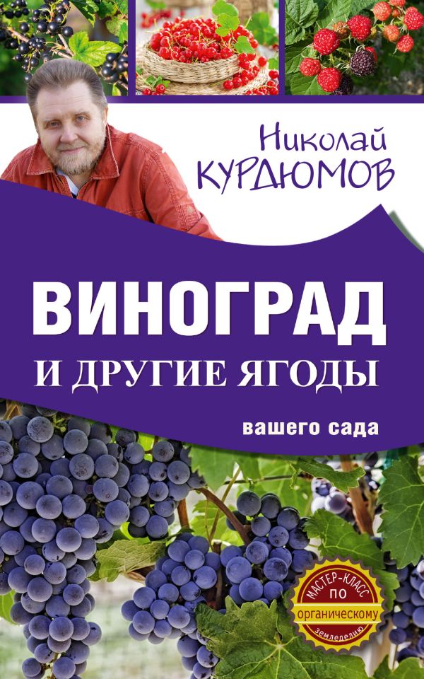 Виноград и другие ягоды вашего сада Виноград и другие ягоды вашего сада Курдюмов Н.И.