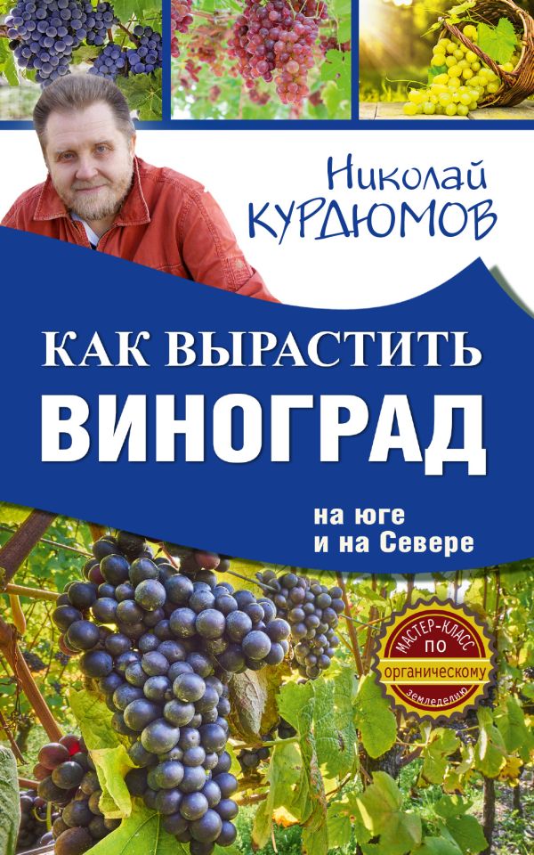 

Как вырастить виноград на Юге и на Севере
