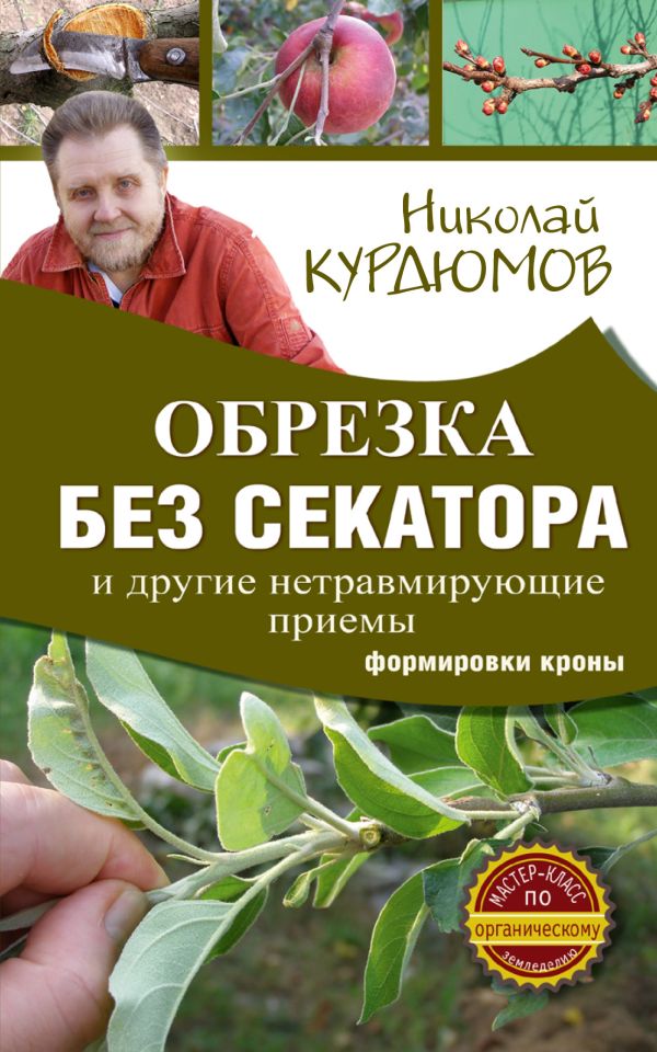 Обрезка без секатора и другие нетравмирующие приемы формировки кроны Обрезка без секатора и другие нетравмирующие приемы формировки кроны Курдюмов Н.И.