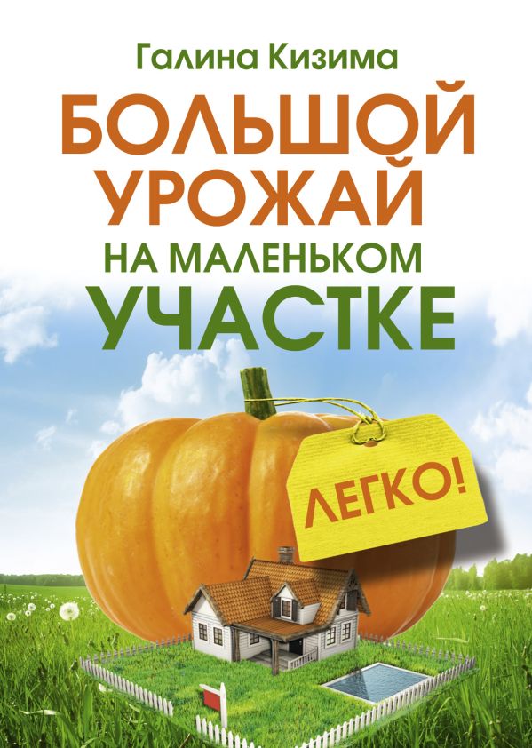 Большой урожай на маленьком участке. Легко! Большой урожай на маленьком участке. Легко! Кизима Г.А.