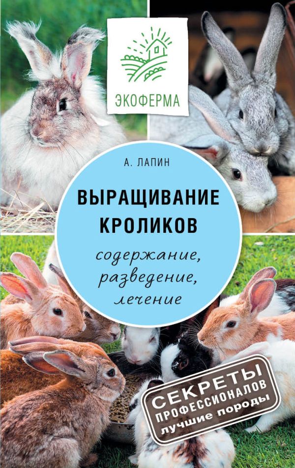 Выращивание кроликов Выращивание кроликов Лапин А.О.