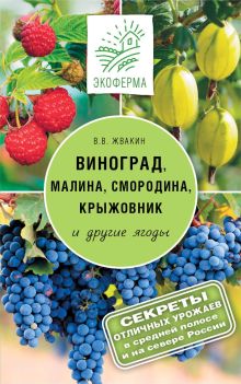 Виноград, малина, смородина, крыжовник и другие ягоды