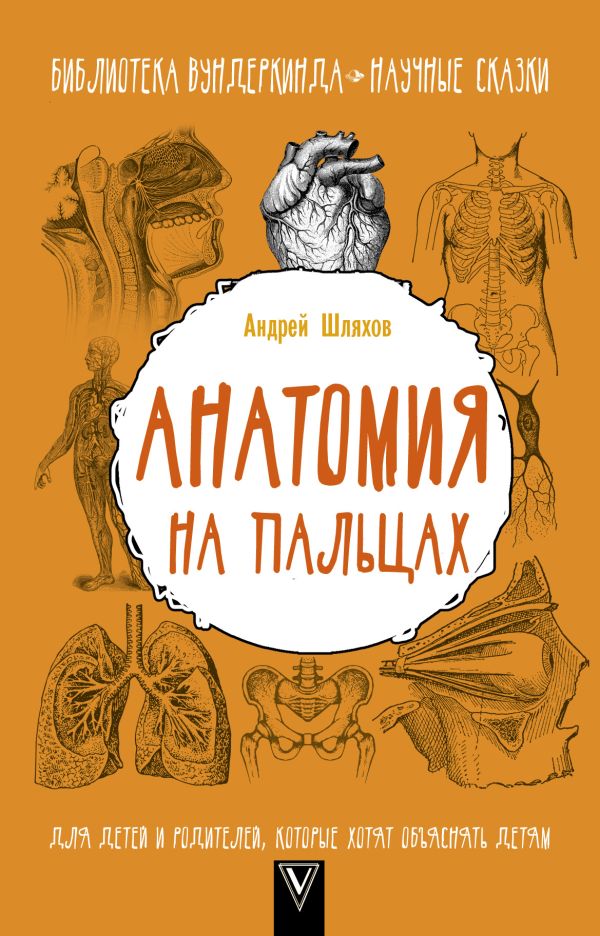 Анатомия на пальцах. Для детей и родителей, которые хотят объяснять детям Анатомия на пальцах. Для детей и родителей, которые хотят объяснять детям Шляхов А.Л.
