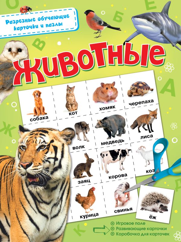 Животные Животные