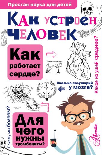 Как устроен человек Как устроен человек Сергеев Б.Ф.