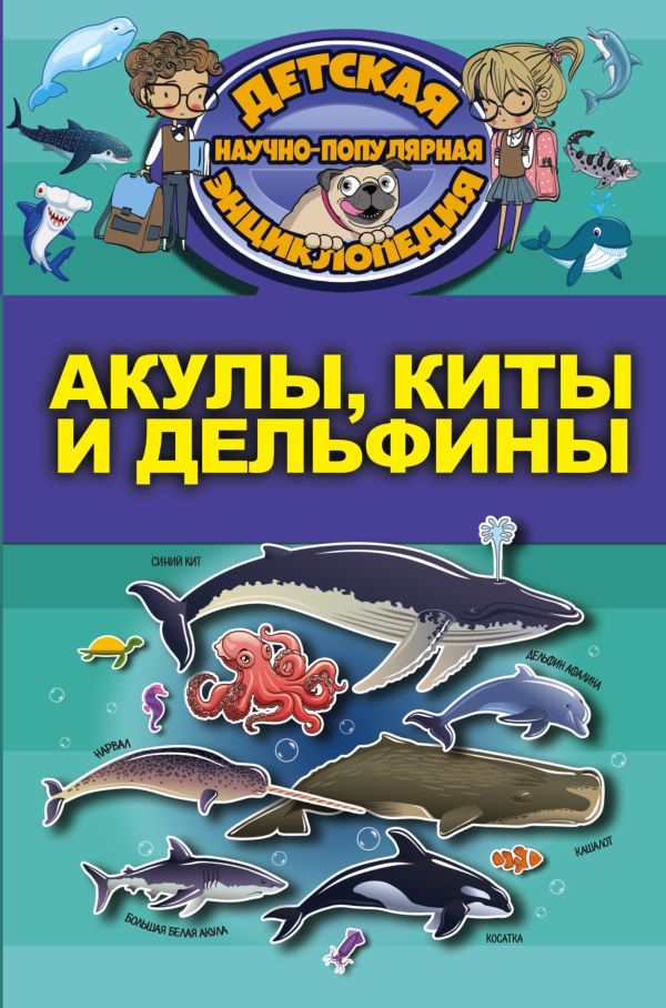 Акулы, киты, дельфины Акулы, киты, дельфины .