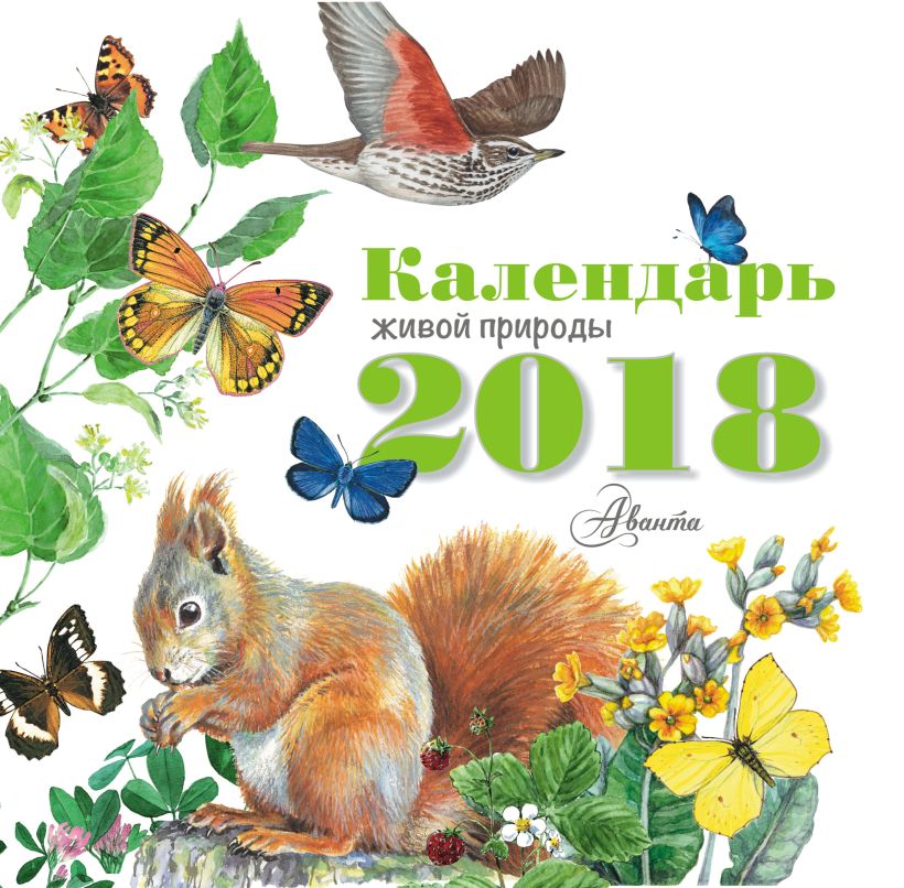 Календарь 2025 год природа
