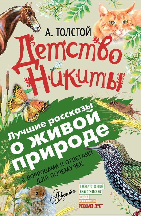 Детство Никиты Детство Никиты Толстой А.Н.