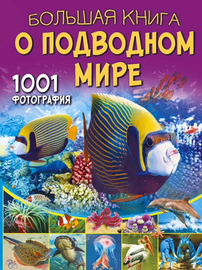 Большая книга о космосе 1001 фотография