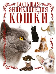 Кошки. Большая энциклопедия