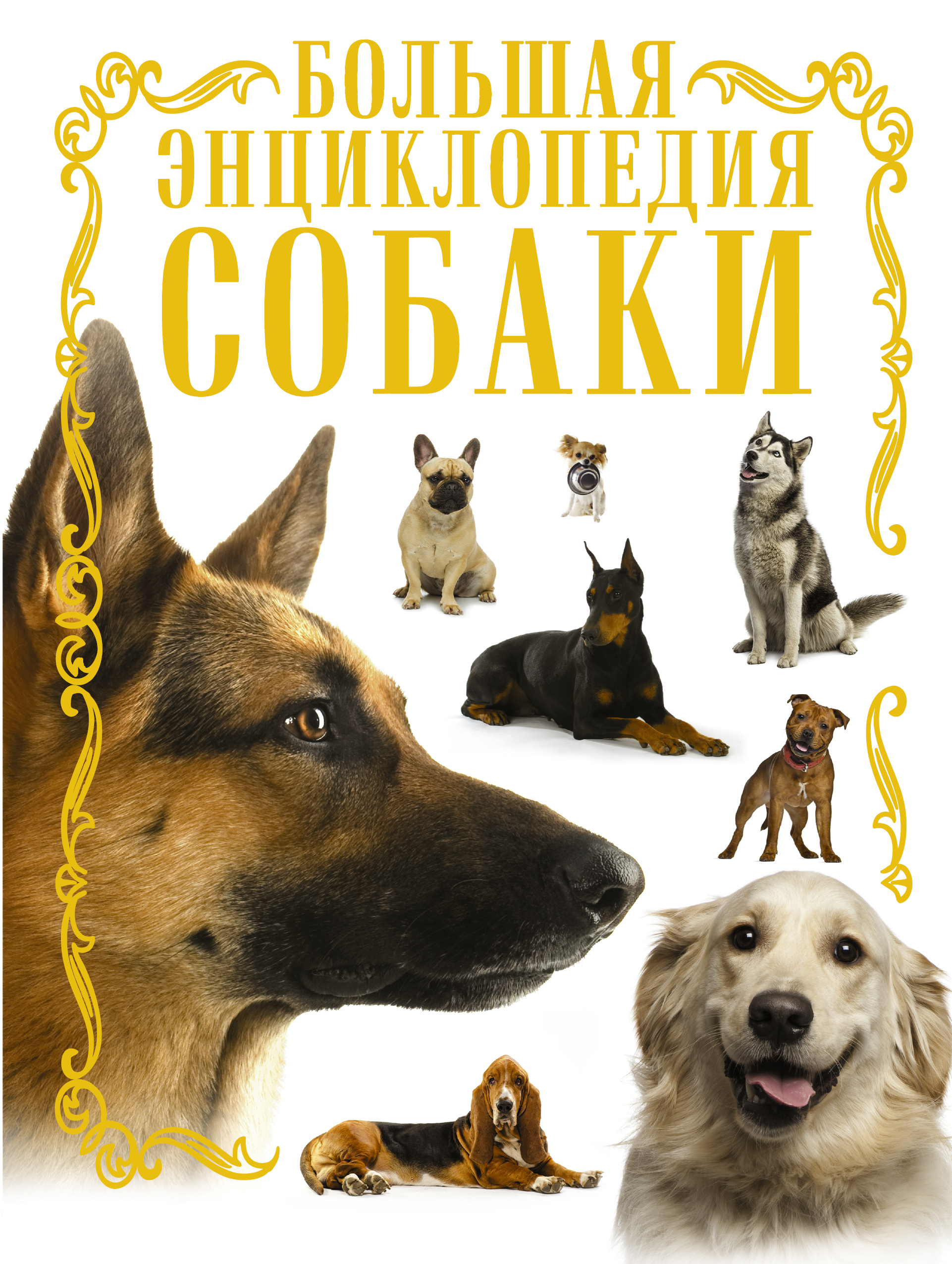 Фото #1: Собаки. Большая энциклопедия