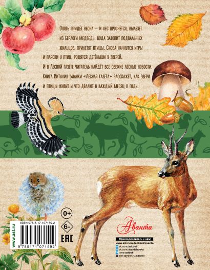 Книга Лесная газета • Бианки В.В. – купить книгу по низкой цене, читать ...