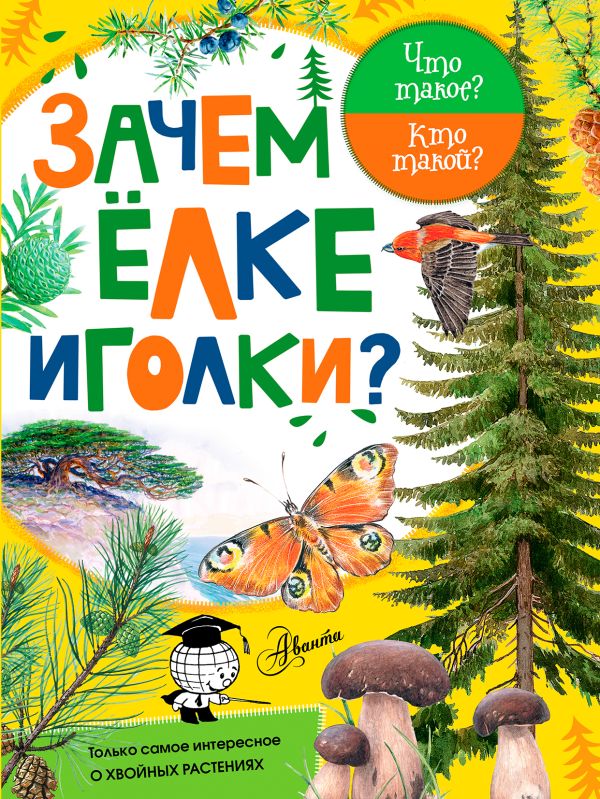 Зачем ёлке иголки? Зачем ёлке иголки?