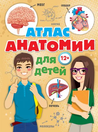 Атлас анатомии для детей Атлас анатомии для детей Швырев А.А.